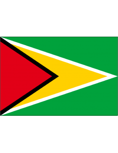 Bandera de Guyana