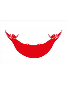 Bandera Pueblo Rapanui