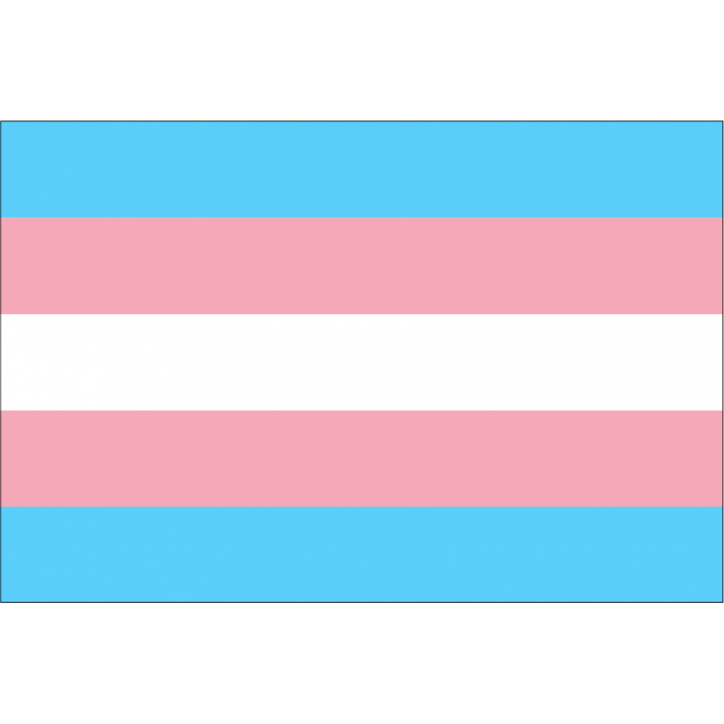Bandera Transgénero