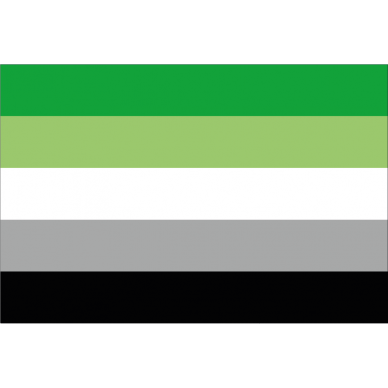 Bandera Arromanticismo