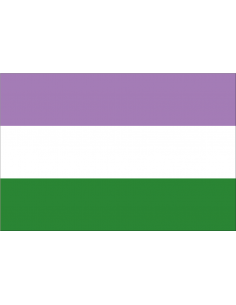Bandera Genderqueer No Binario