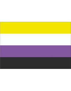 Bandera No Binario