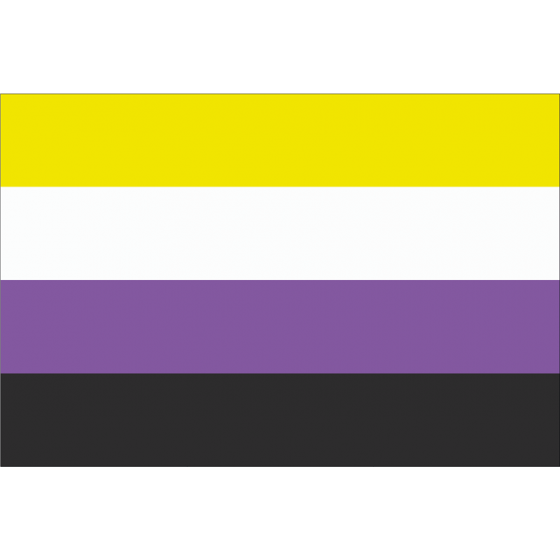Bandera No Binario