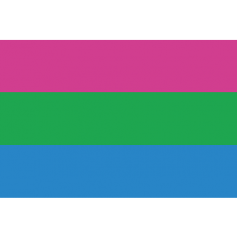 Bandera Orgullo Polisexual