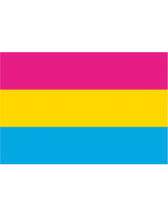 Bandera Pansexual