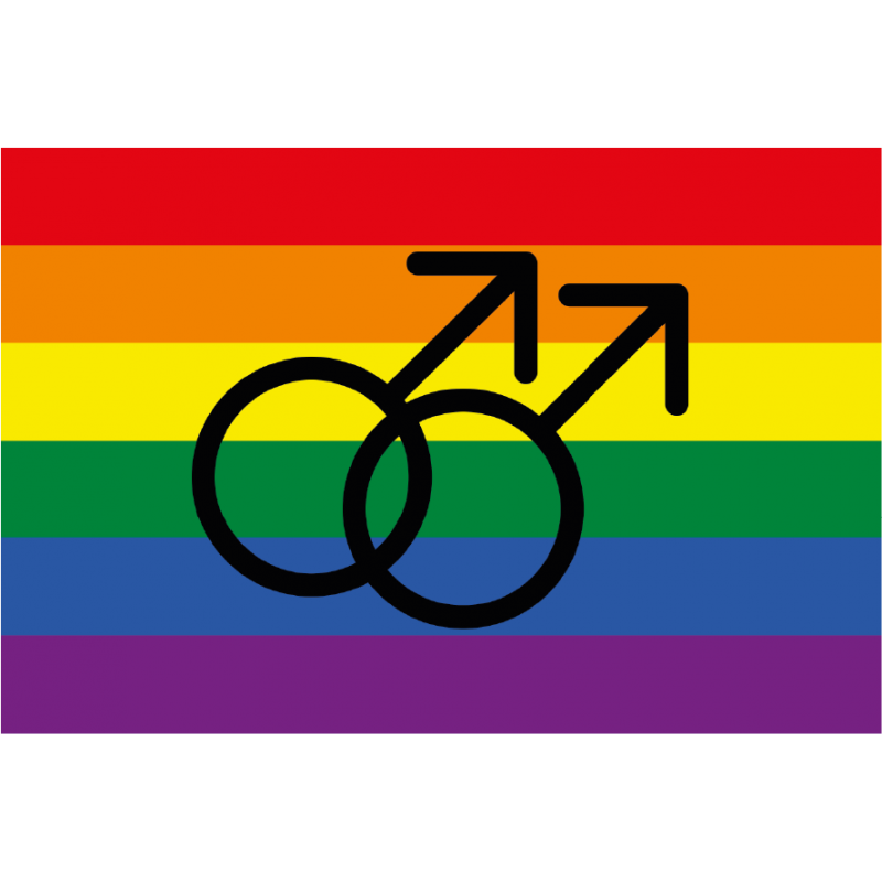 Bandera Gay