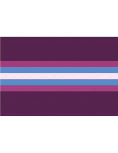 Bandera Género no Conforme