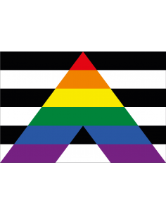 Bandera del Colectivo...