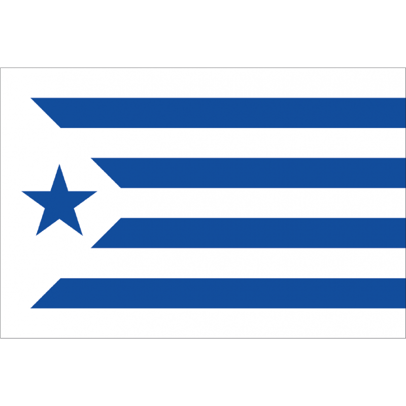 Bandera de Cataluña Estelada Azul Blanca