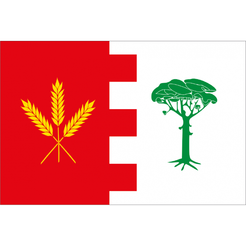 Bandera de Ataquines