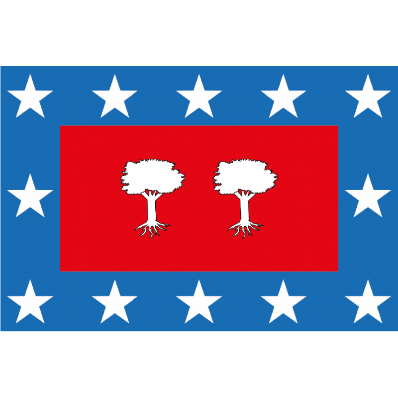 Bandera de Camporredondo