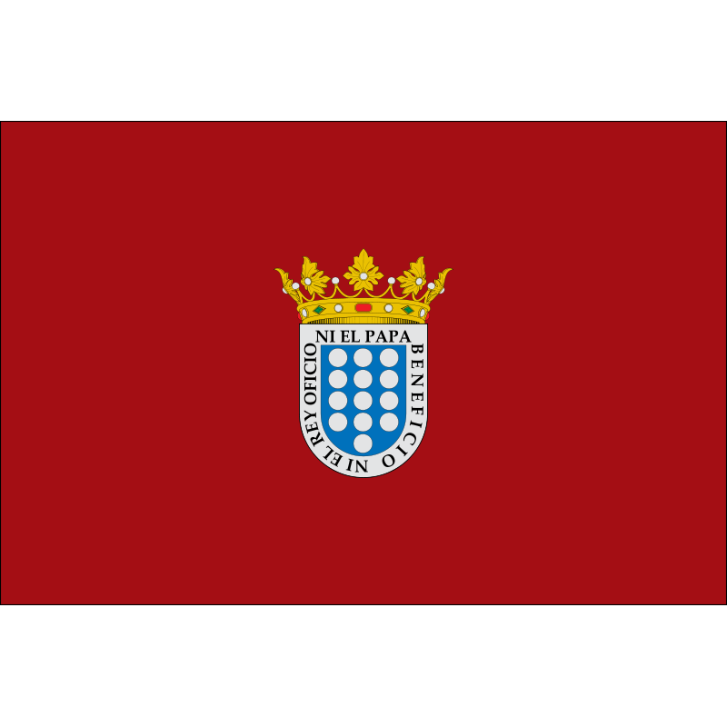Bandera de Medina del Campo