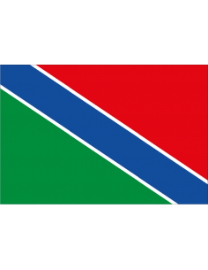 Bandera de Saelices de Mayorga