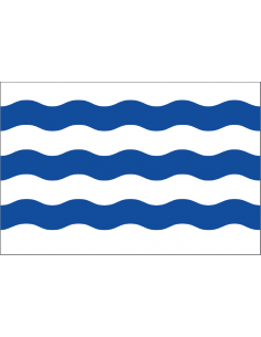 Bandera de San Miguel del...