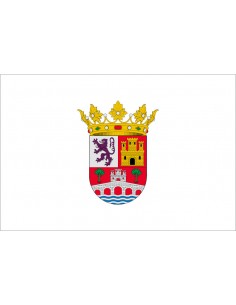 Bandera de Tudela de Duero