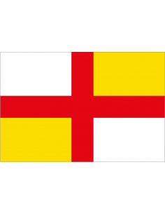 Bandera de Puebla de la Reina