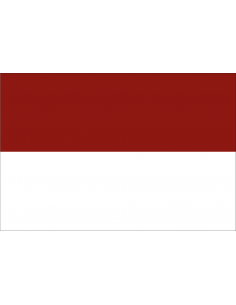 Bandera de Pedro Muñoz