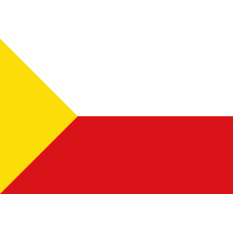 Bandera de Casas de los Pinos