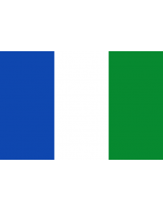 Bandera de El Valle de...