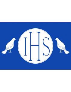 Bandera de Puebla del Salvador