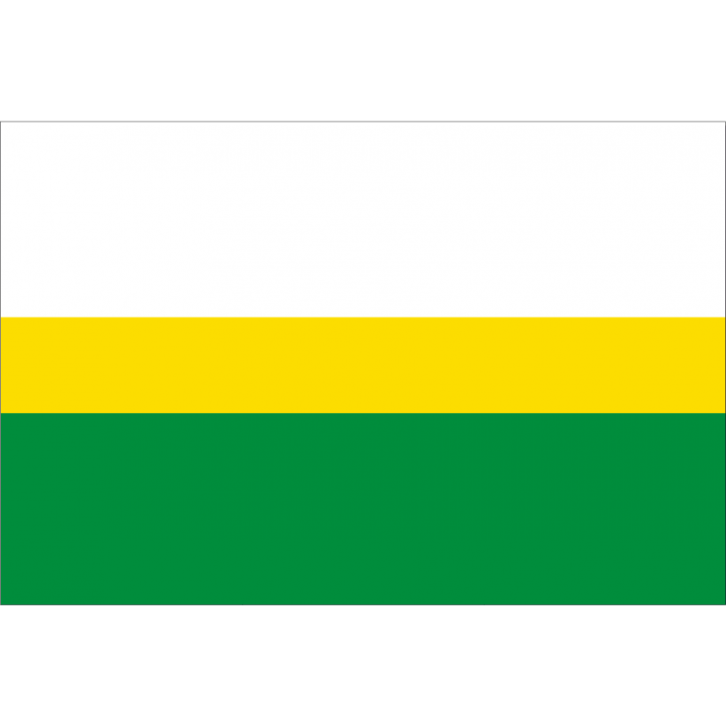 Bandera de Camaleño