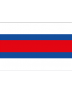 Bandera de Riotuerto