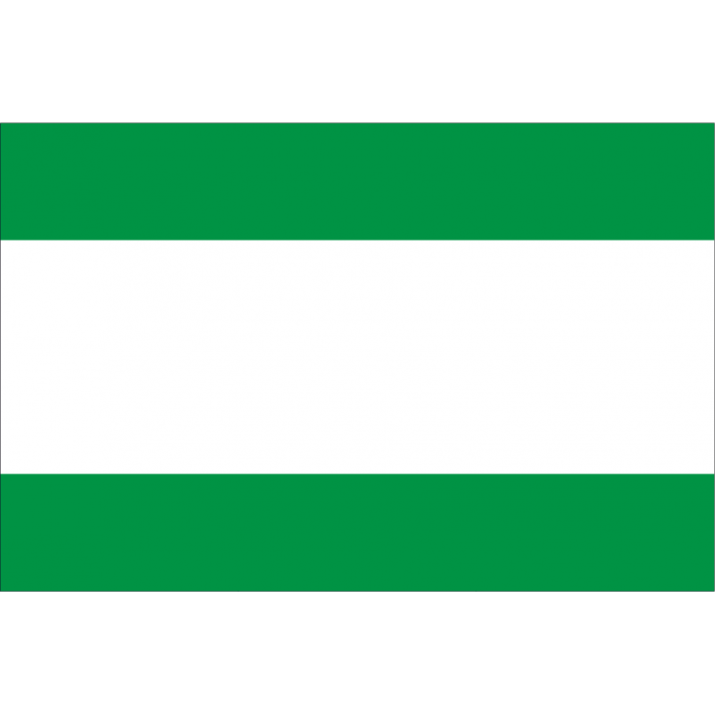 Bandera de Castropol