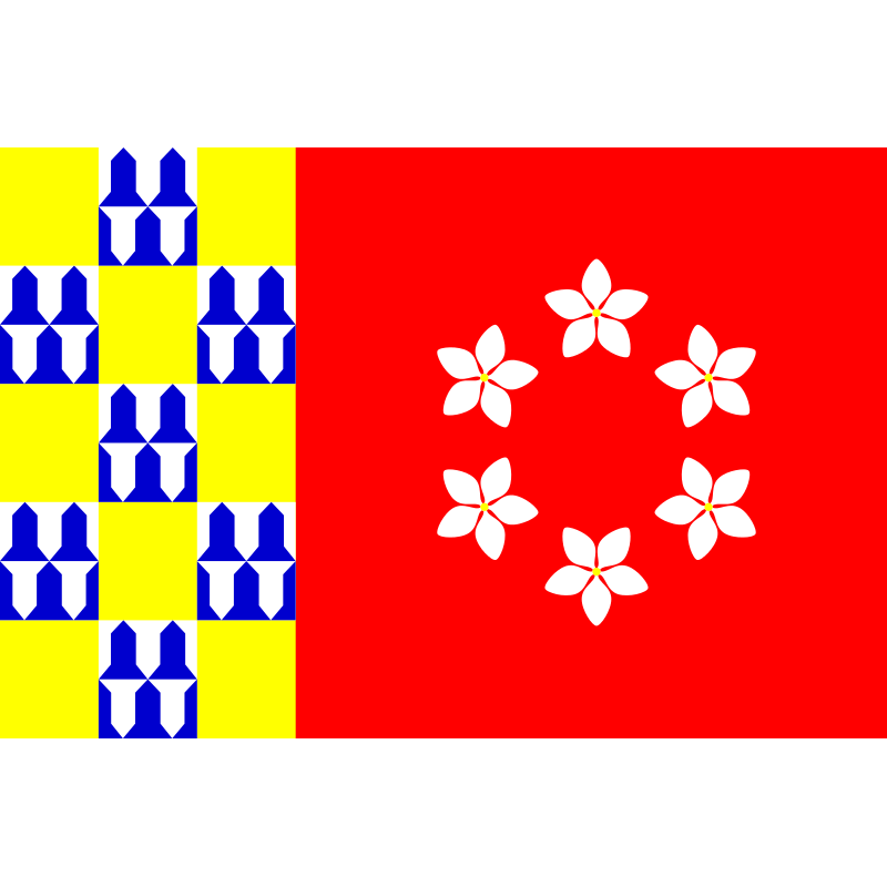 Bandera de Nava