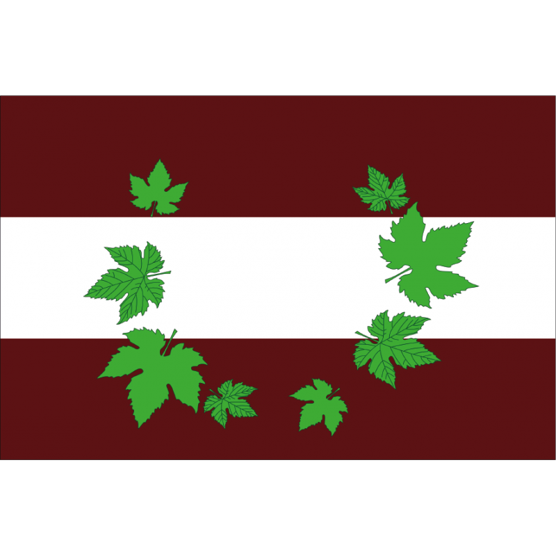Bandera de Pesoz