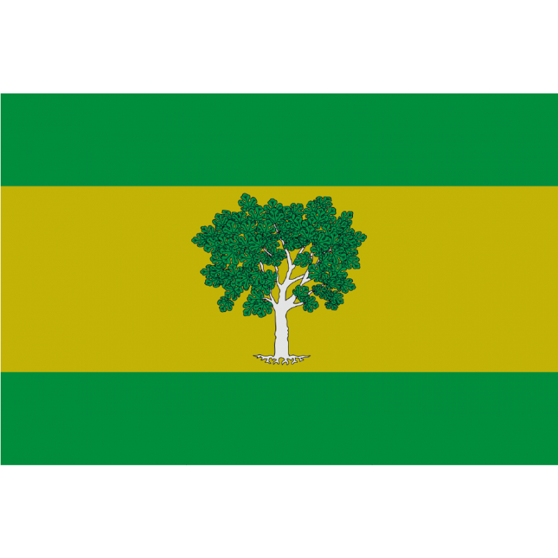 Bandera de Higueras