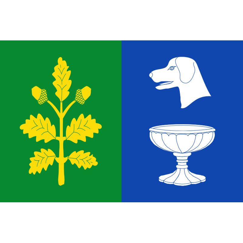 Bandera de Matarrubia