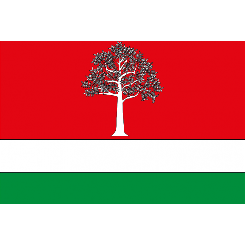 Bandera de El Fresno