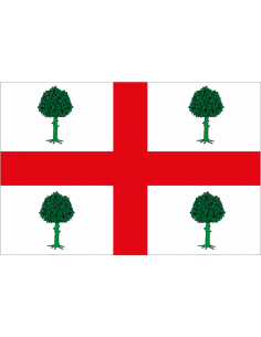 Bandera de Navalacruz