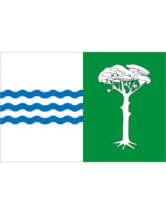 Bandera de Pedro Rodríguez