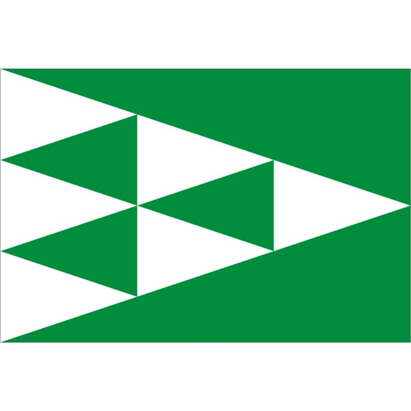 Bandera de Guixers