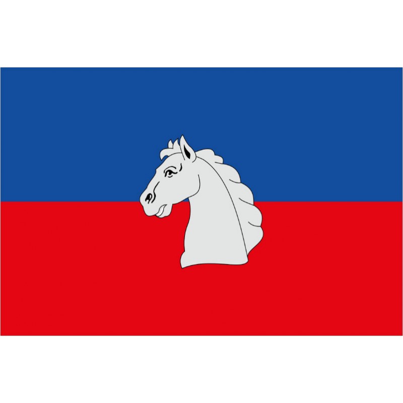 Bandera de Biscarrués