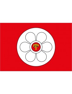 Bandera de Salas Altas