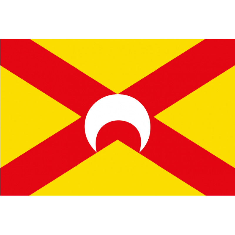 Bandera de Arándiga