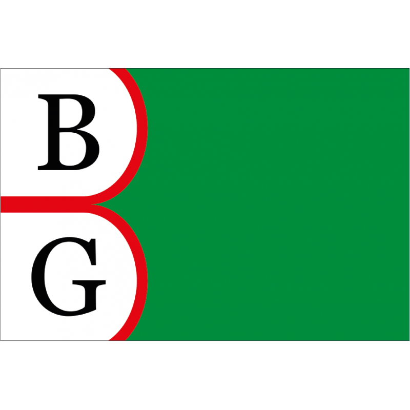Bandera de Belmonte de Gracián