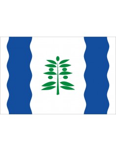 Bandera de Cinco Olivas