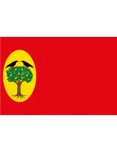 Bandera de Leciñena