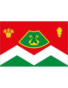 Bandera de San Martín de...