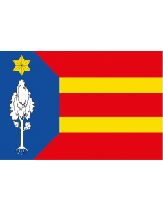 Bandera de San Mateo de...