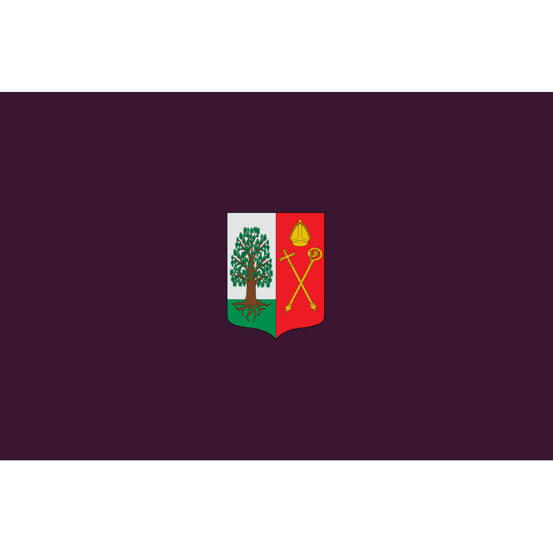 Bandera de Amoroto
