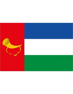 Bandera de Valle de Carranza