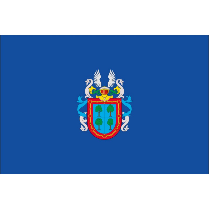Bandera de Barañáin