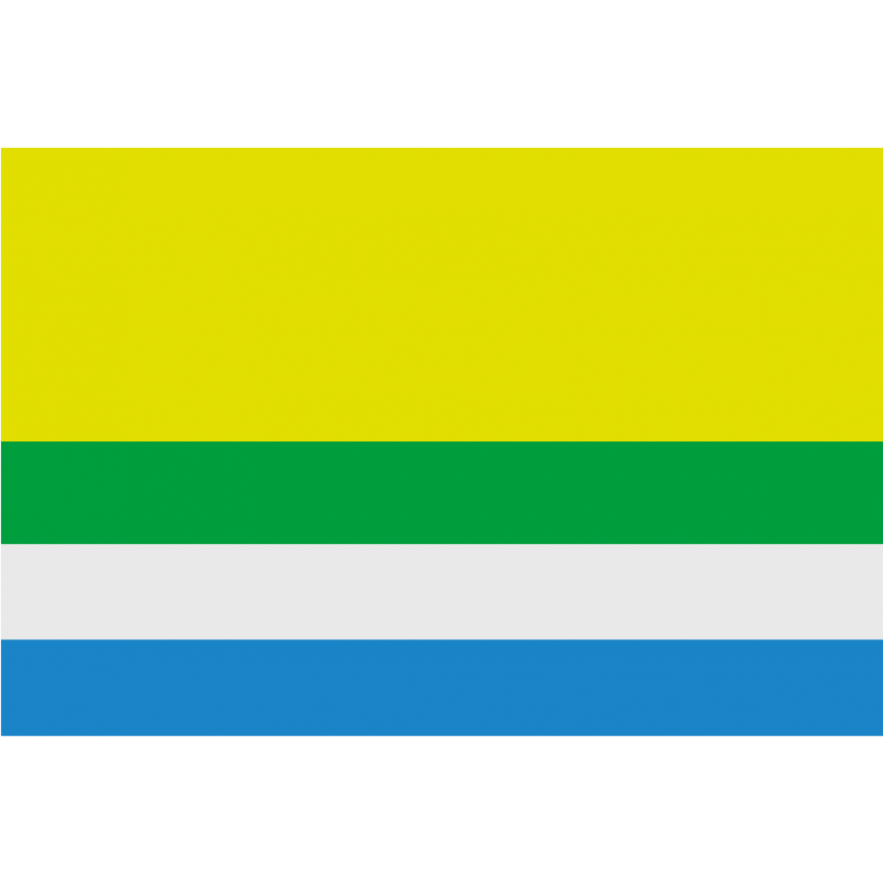 Bandera de Castejón