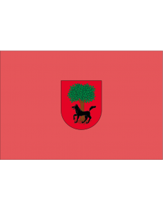 Bandera de Esteríbar