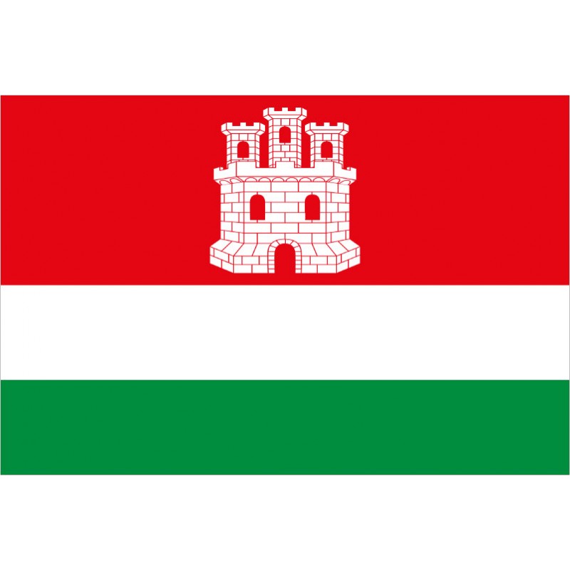 Bandera de Castrotierra de Valmadrigal