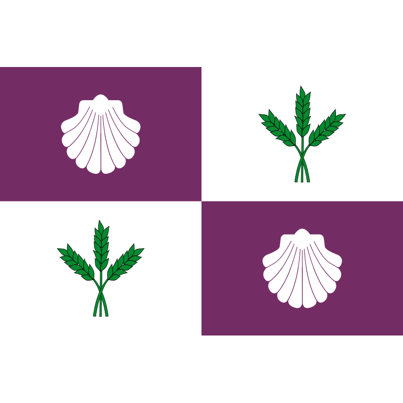 Bandera de El Burgo Ranero